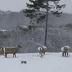 Chalet Le Chaleureux De 3 *