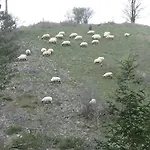 Chalet Le Chaleureux De 3 *