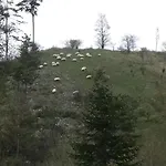 Le Chaleureux De 3
