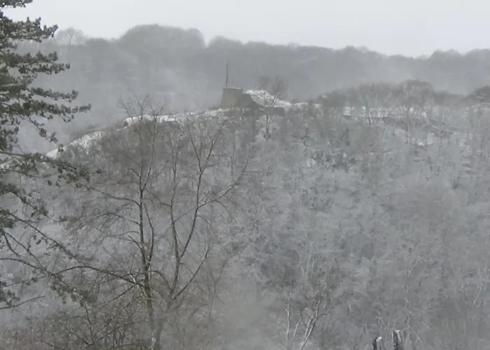 Chalet Le Chaleureux De 3 *