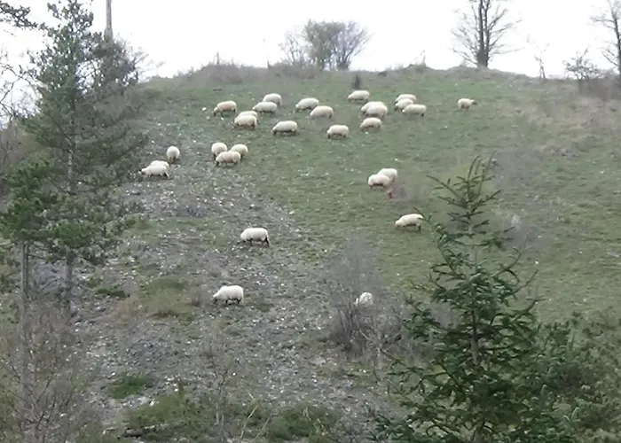 Chalet Le Chaleureux De 3 *