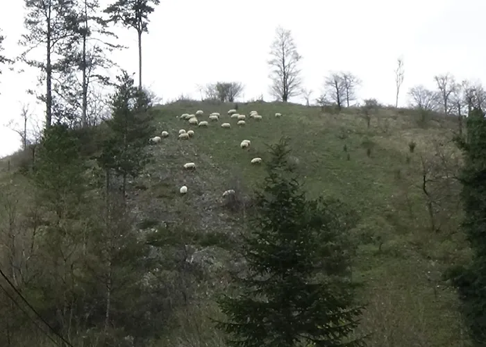 Le Chaleureux De 3